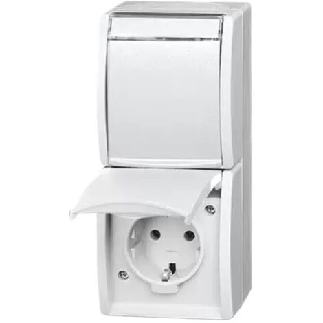 Busch-Jaeger 20-02 EWN-54  SCHUKO® Steckdose 2-fach