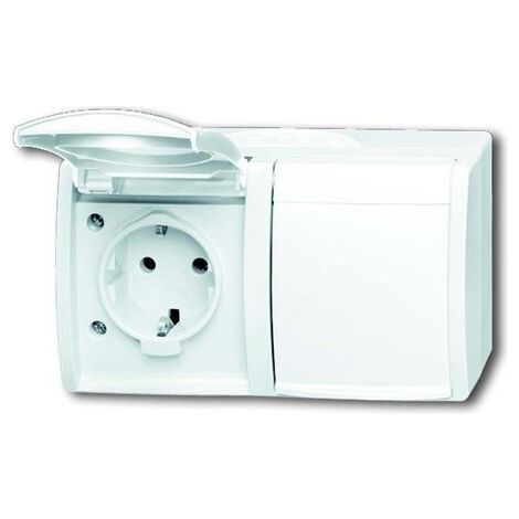 BUSCH-JAEGER 20/2 EW-54 SCHUKO (2084-0-0711)