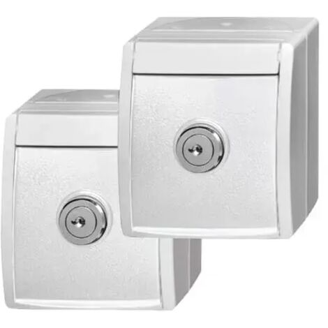 Busch-Jaeger 20/20 EWSL-54  2 SCHUKO® Steckdosen