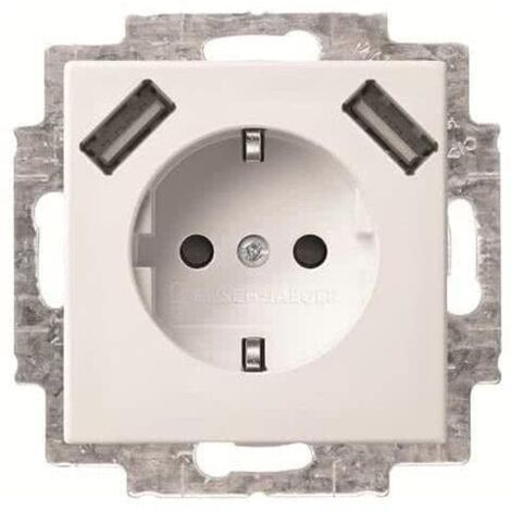 BUSCH-JAEGER 20 EUCB2USB-914 SCHUKO USB-STECKDOSE, 2-FACH, ALPINWEI (2CKA002011A6266)