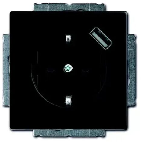 Busch-Jaeger 20 EUCBUSB-885 SCHUKO® USB-Steckdose mit erh. Berührungsschutz