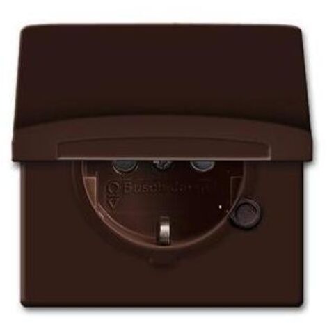 Busch-Jaeger 20 EUGKB-31-101  SCHUKO® Steckdosen-Einsatz mit Klappdeckel