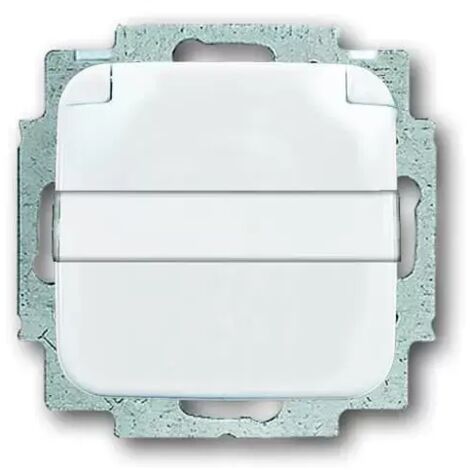 Busch-Jaeger 20 EUKNB-214 Klappdeckel Namenschild SCHUKO-Steckdose
