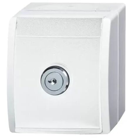 Busch-Jaeger 20 EWSL-101-54  SCHUKO® Steckdose