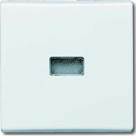 BUSCH-JAEGER 2107-34 PLAQUE DE RECOUVREMENT, COMMUTATEUR INVERSEUR DE CONTRÔLE, BLANC ALPIN, PROTÉGÉ CONTRE L'EAU IP44