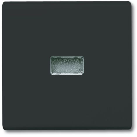 Busch-Jaeger 2107-35 AW44 Wippe