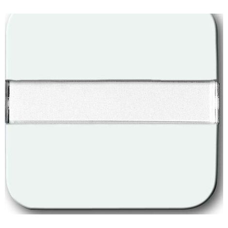 BUSCH-JAEGER 2510NLI-214 PLAQUE DE RECOUVREMENT, ZONE DE MARQUAGE, FIBRE OPTIQUE, BLANC ALPIN, REFLEX SI