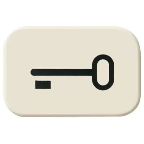Busch-Jaeger 2525 TR Tastersymbol Schlüssel