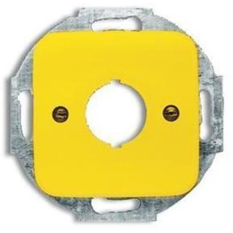 Busch-Jaeger 2533-214-15  Zentralscheibe mit Tragring