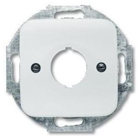 Busch-Jaeger 2533-214  Zentralscheibe mit Tragring