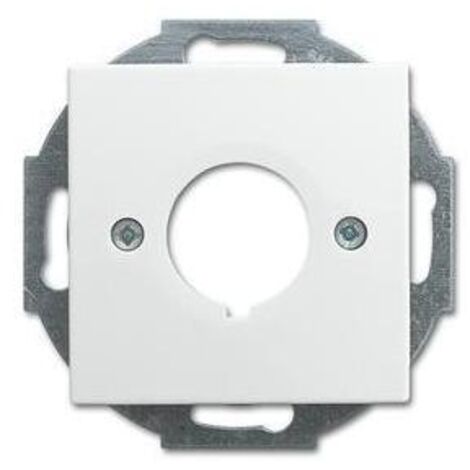 Busch-Jaeger 2533-914  Zentralscheibe mit Tragring