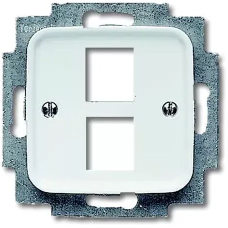 Busch-Jaeger 2561-02-214  Zentralscheibe Modular Jack