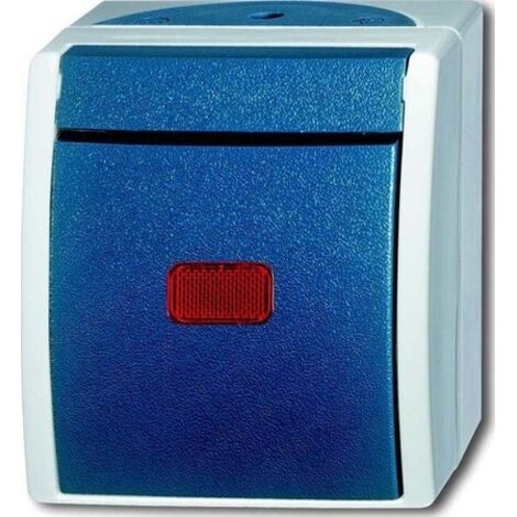 BUSCH-JAEGER 2601/6 SKW-53 - INTERRUPTOR