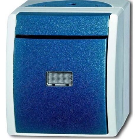 BUSCH-JAEGER 2621 WGL-53 - INTERRUPTOR