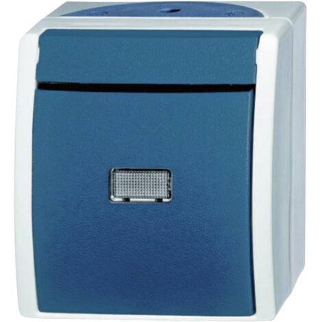 Busch-Jaeger 2621 WGL-53 Interruttore per ambienti umidi Pulsanti Superficie Ocean Blu, Verde 1 pz.