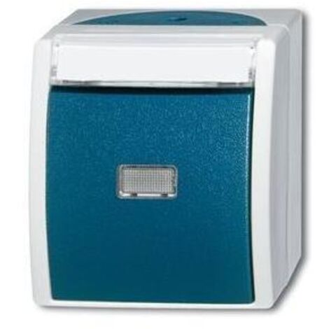 Busch-Jaeger 2621 WN-53-201  Wipptaster Schließer