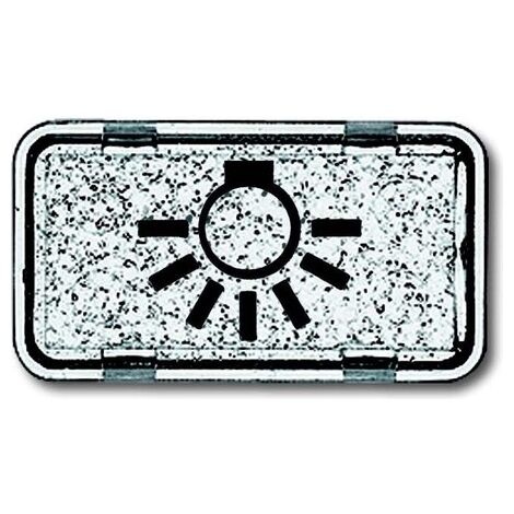 BUSCH-JAEGER 2622LI-101 TASTERSYMBOL LICHT GLASKLAR, ALLWETTER IP44 1714-0-0260
