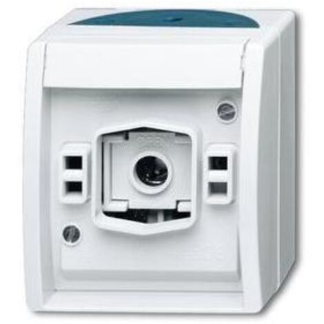 Busch-Jaeger 2661 W-53  Lichtsignal mit E 10-Gewinde