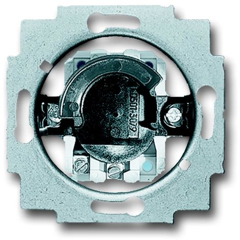 Busch-Jaeger 2733 USL-101 Interrupteur à clé gris mat