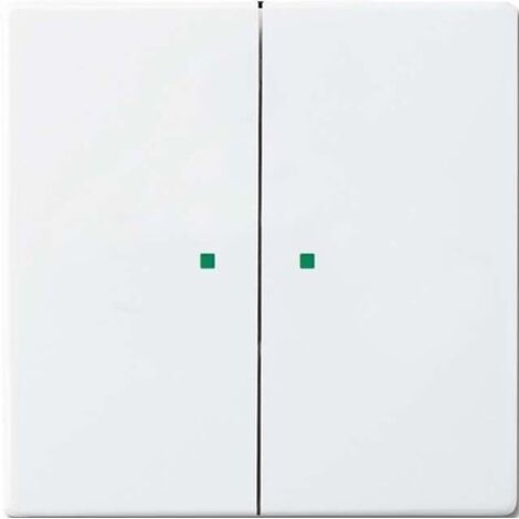 BUSCH-JAEGER 6220-0-0049 PRISE COUVRE