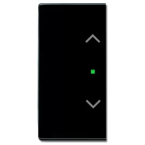 Busch-Jaeger 6232-20-81 2fach Symbol Jalousie Wippe