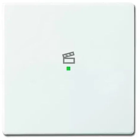 Busch-Jaeger 6233-10-84  Wippe 1-fach, mit Symbol "Szene"