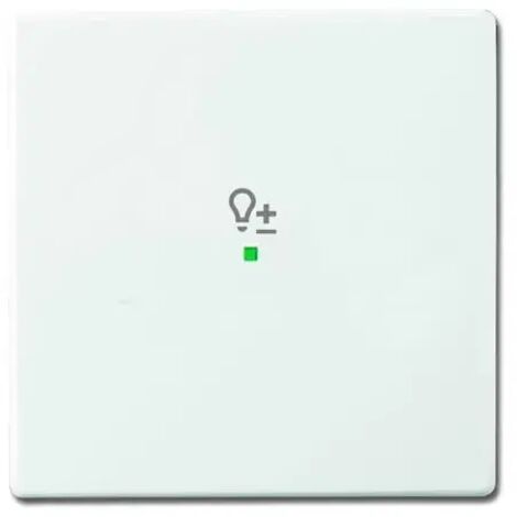 Busch-Jaeger 6234-10-84  Wippe 1-fach, mit Symbol "Dimmer"