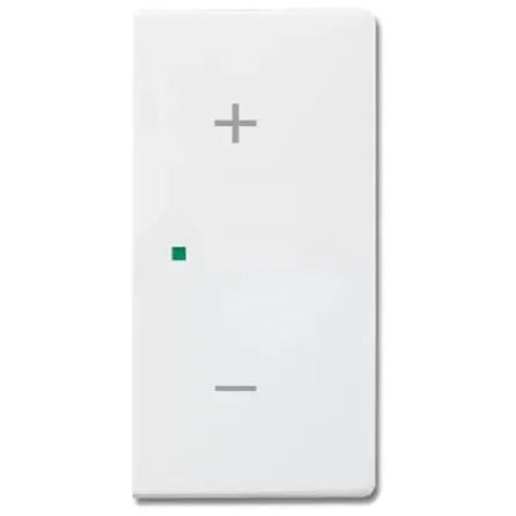 Busch-Jaeger 6237-22-84  6237-22-84 Wippe/R 2-fach, Volume