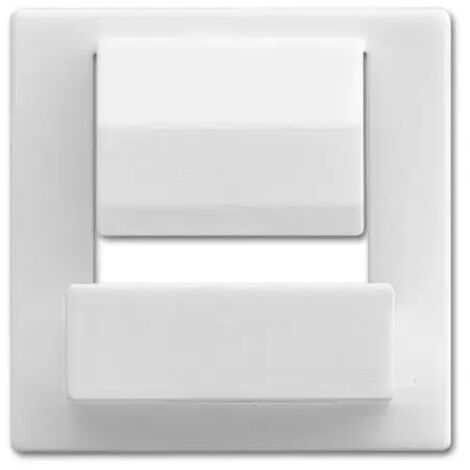Busch-Jaeger 6477-84  Zentralscheibe für Busch-powerDock
