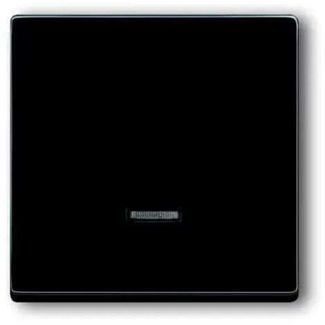 Busch-Jaeger 6543-81-101  Bedienelement mit Glimmlampe