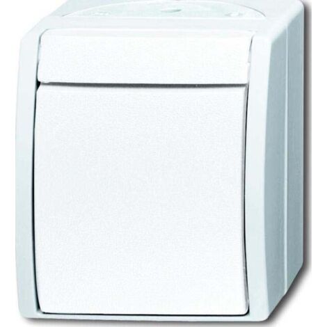 Busch-Jaeger Ausschalter 2601/2 W-54