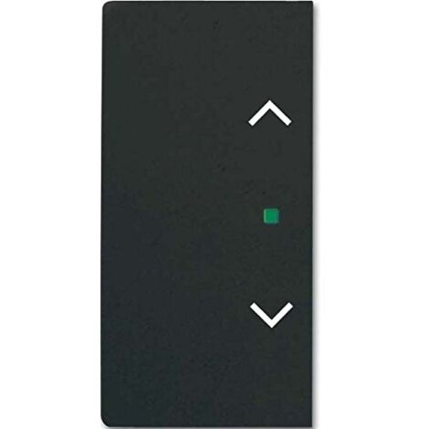 BUSCH-JAEGER BASCULE SW MT SÉRIE 623220885 EAN: 4011395203378 2CKA006220A0505
