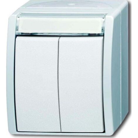 Busch-Jaeger Doppeltaster 2 Schliesser 2621 WN-54-205-101