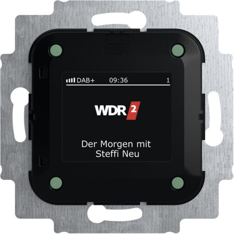 Busch-Jaeger  Einsatz Radio    2CKA008200A0275  1 St.