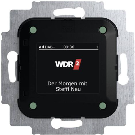 Busch-Jaeger Frutto Radio 2CKA008200A0275 1 pz.