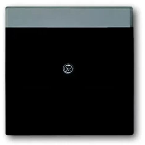 Busch-Jaeger FU/SO C-SCH.M.JACK 2F 1800-885 (1800-885)