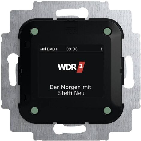BUSCH-JAEGER INSERT RADIO 2CKA008200A0275