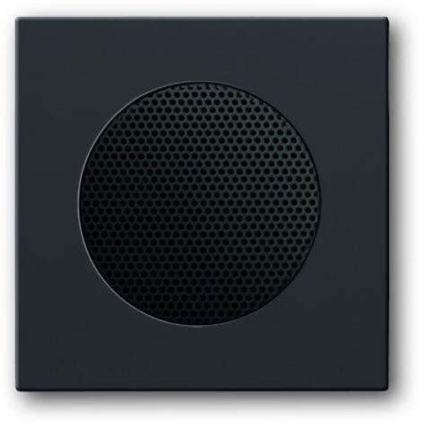 Busch-Jaeger Plaque centrale Haut-parleur anthracite - plateforme 63 (8253-81), 2CKA008200A0078