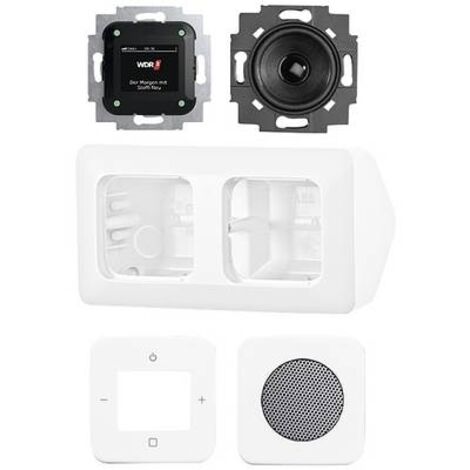 BUSCH-JAEGER RADIO 2CKA008200A0235