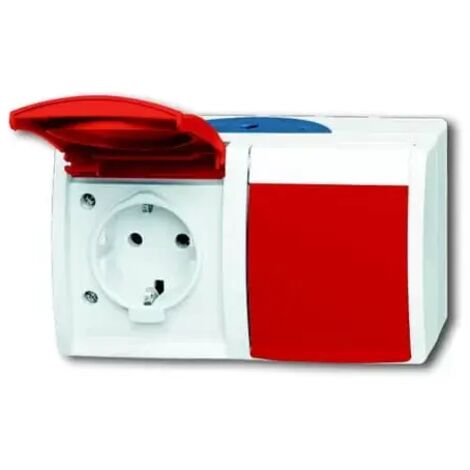 Busch-Jaeger Schuko-Steckdose 2f. waagerecht 20/2 EW/DVN-53