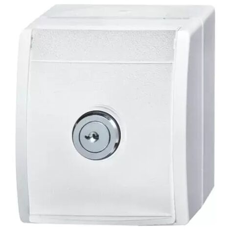 Busch-Jaeger SCHUKO-Steckdose al/ws mit Schloss 20 EWSL-54