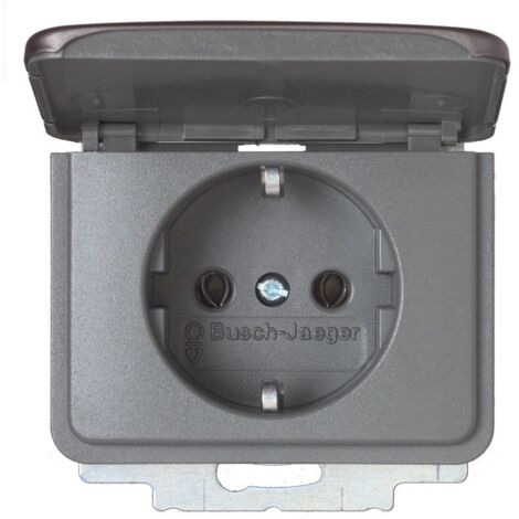 Busch-Jaeger Schutzkontaktsteckdose Klappdeckel Alpha Nea platin, 20 EUK-20 Busch-Jaeger