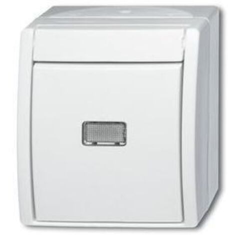 Busch-Jaeger Taster aws Wechsler 2621 W-54-206