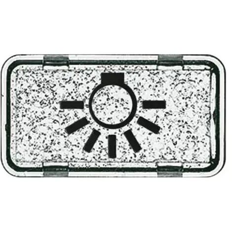 Busch-Jaeger Tastersymbol Licht 2622 LI-101