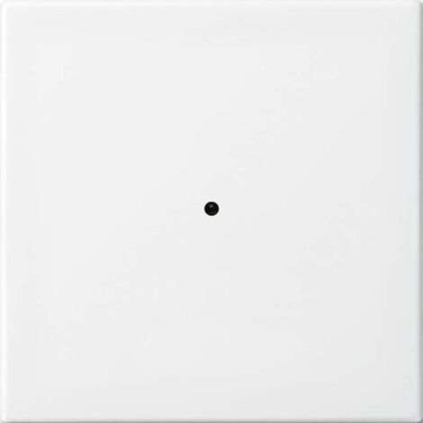 Busch-Jaeger Wandsender 6731-914