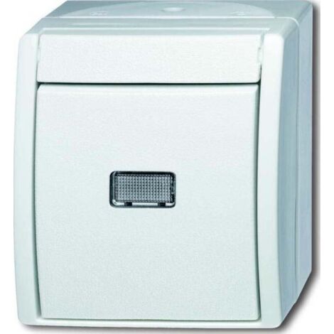 Busch-Jaeger Wechselschalter 2601/6 WGL-54