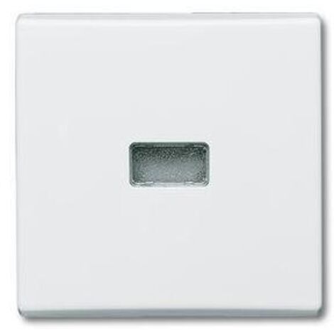 Busch-Jaeger Wippe aws Kontroll-Wechsel 2107-34