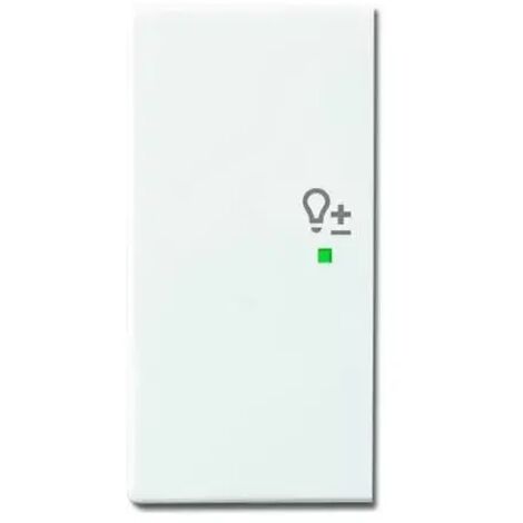Busch-Jaeger WIPPE/L 2-FACH, DIMMER (6234-21-84)