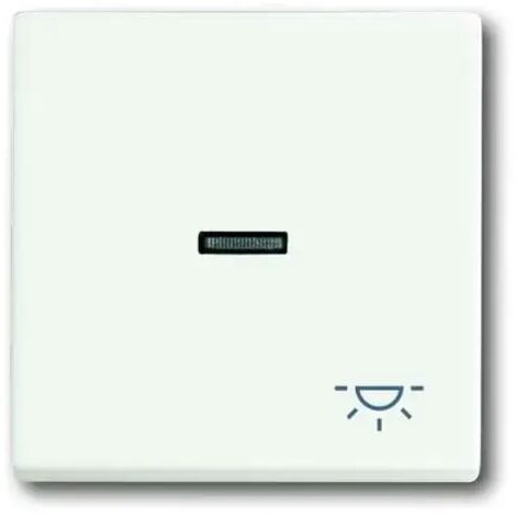 Busch-Jaeger Wippe stws mt mit Symbol Licht 1789 LI-884