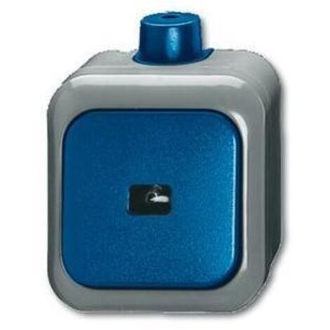 Busch-Jaeger Wipptaster Schliesser 1pol. AP 2621 WDI